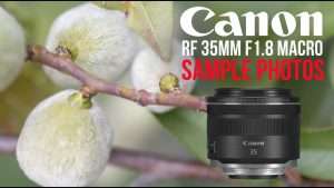 Read more about the article Why I love ?the Canon 35mm RF 1.8 macro lens – EOS R